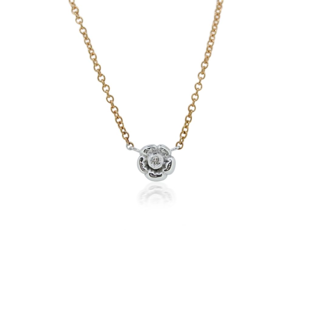 Ewy fast